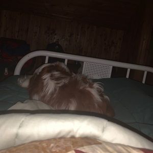 Meet your Posher, Stacey